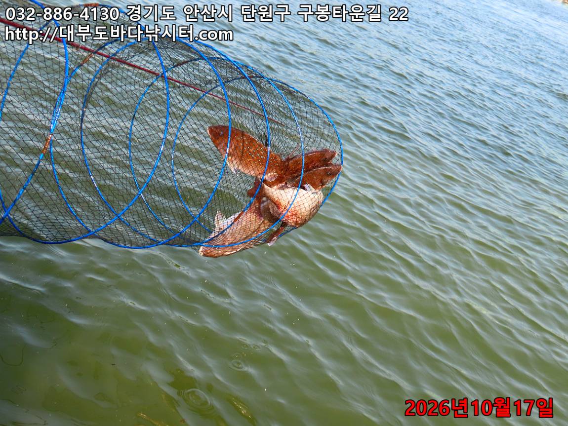 IMG_4779_99eb3cb4c28fe37c_d76256ae94f438eb.jpg