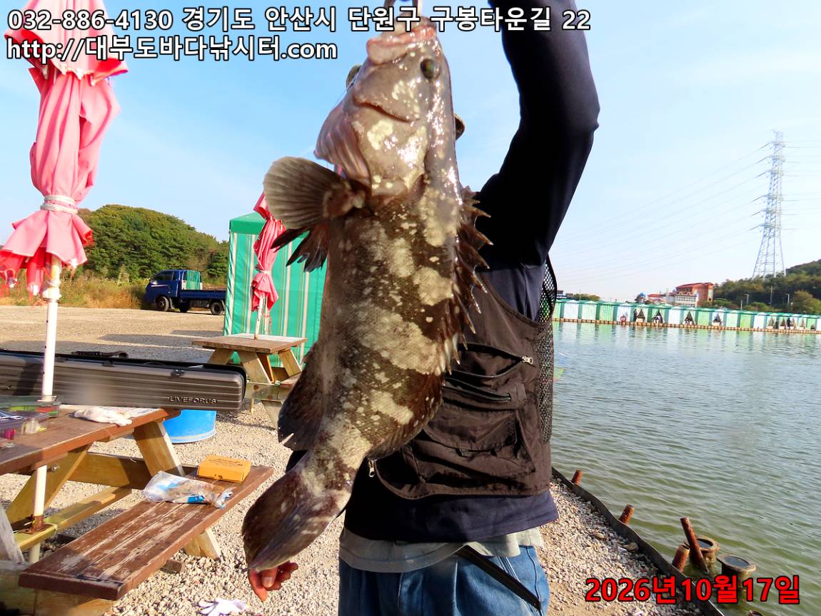 IMG_4797_0ae496c50ab857a4_94a64f344af7f8c4.jpg