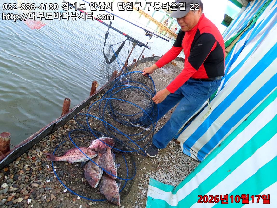IMG_4823_130068956e28e7b0_76ae34665fd2cebd.jpg