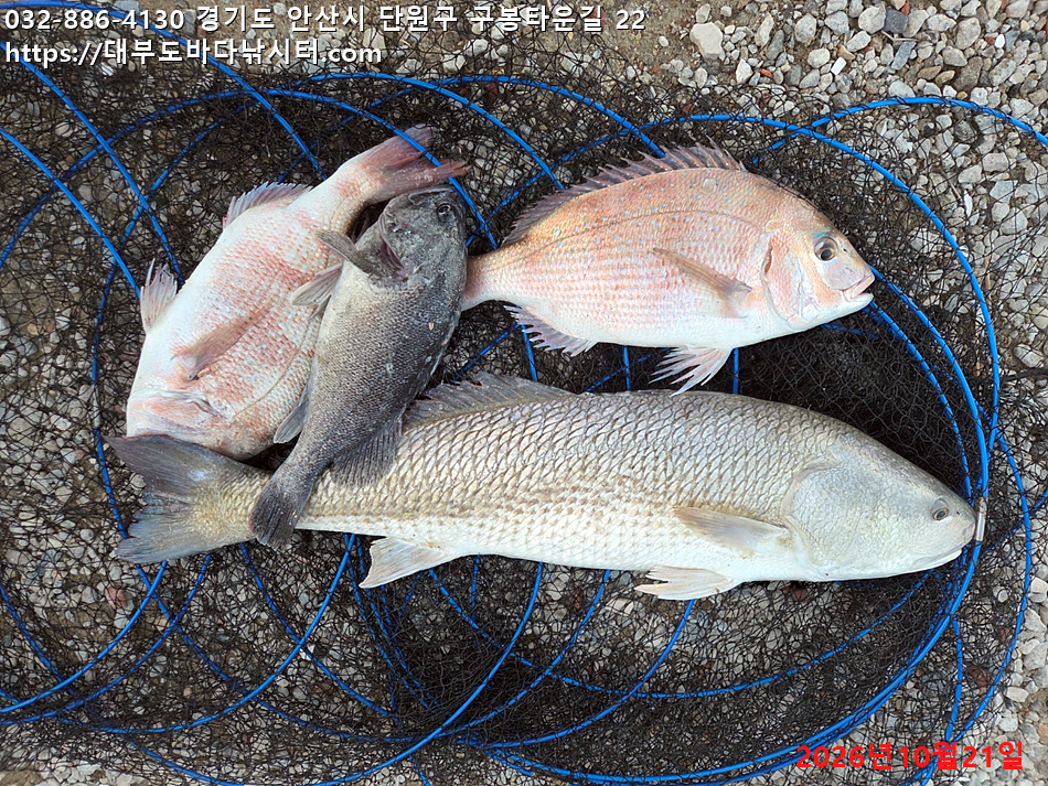 KakaoTalk_20261021_172451490_01.jpg