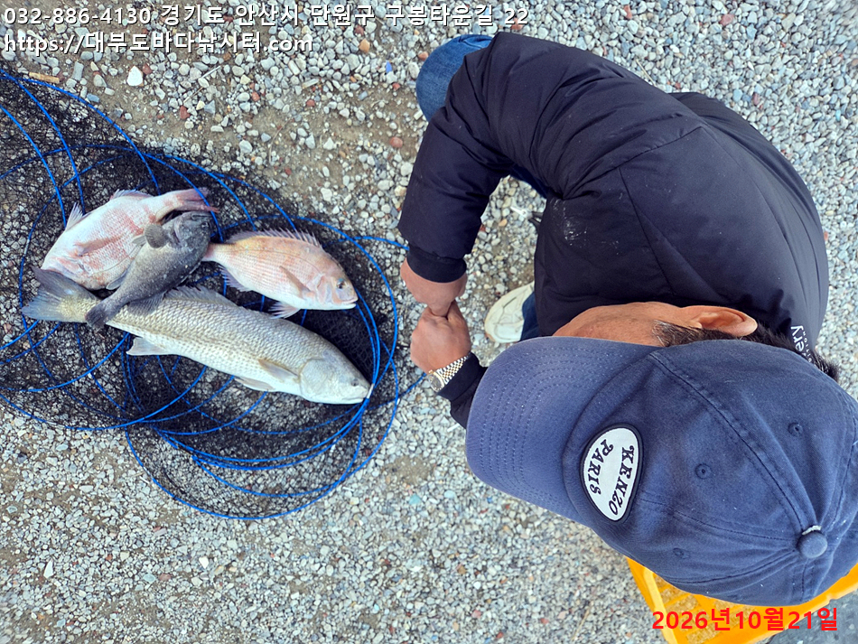 KakaoTalk_20261021_172451490.jpg