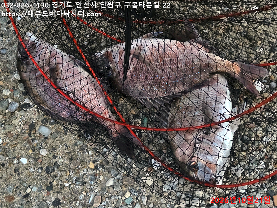 KakaoTalk_20261021_172451490_02.jpg
