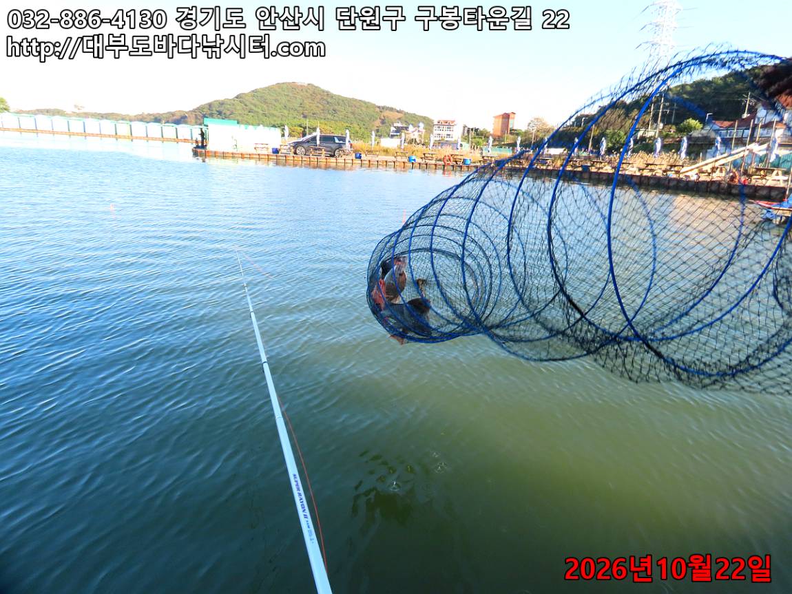 IMG_5039_b6a4e2c0683d909a_b06a7eb83247cddf.jpg