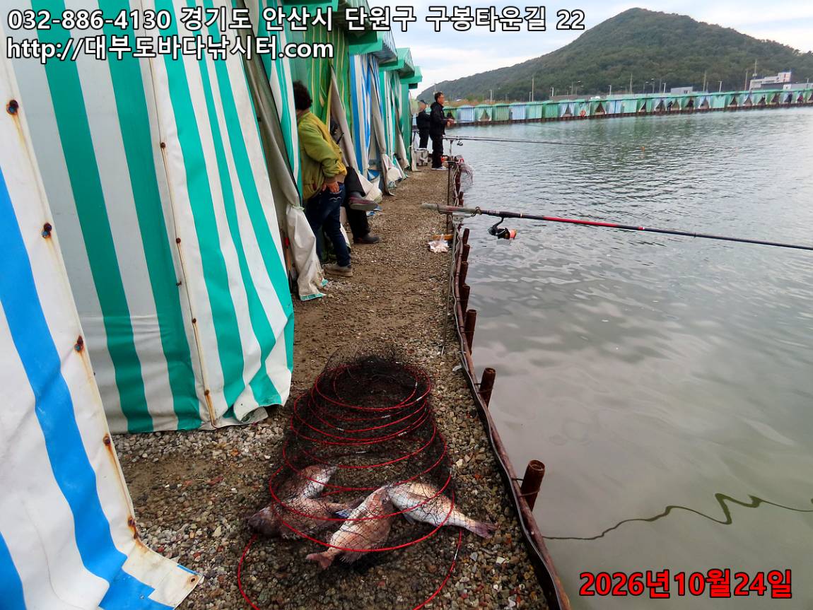 IMG_5140_99bc03eae777461c_f0537f250dbed3bd.jpg