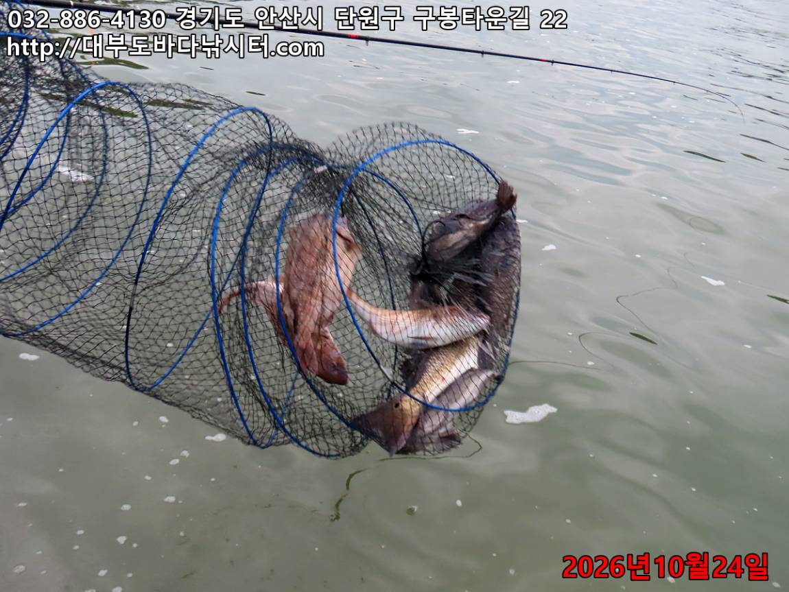 IMG_5151_a65d347338d5475f_b072cfecad978e3c.jpg