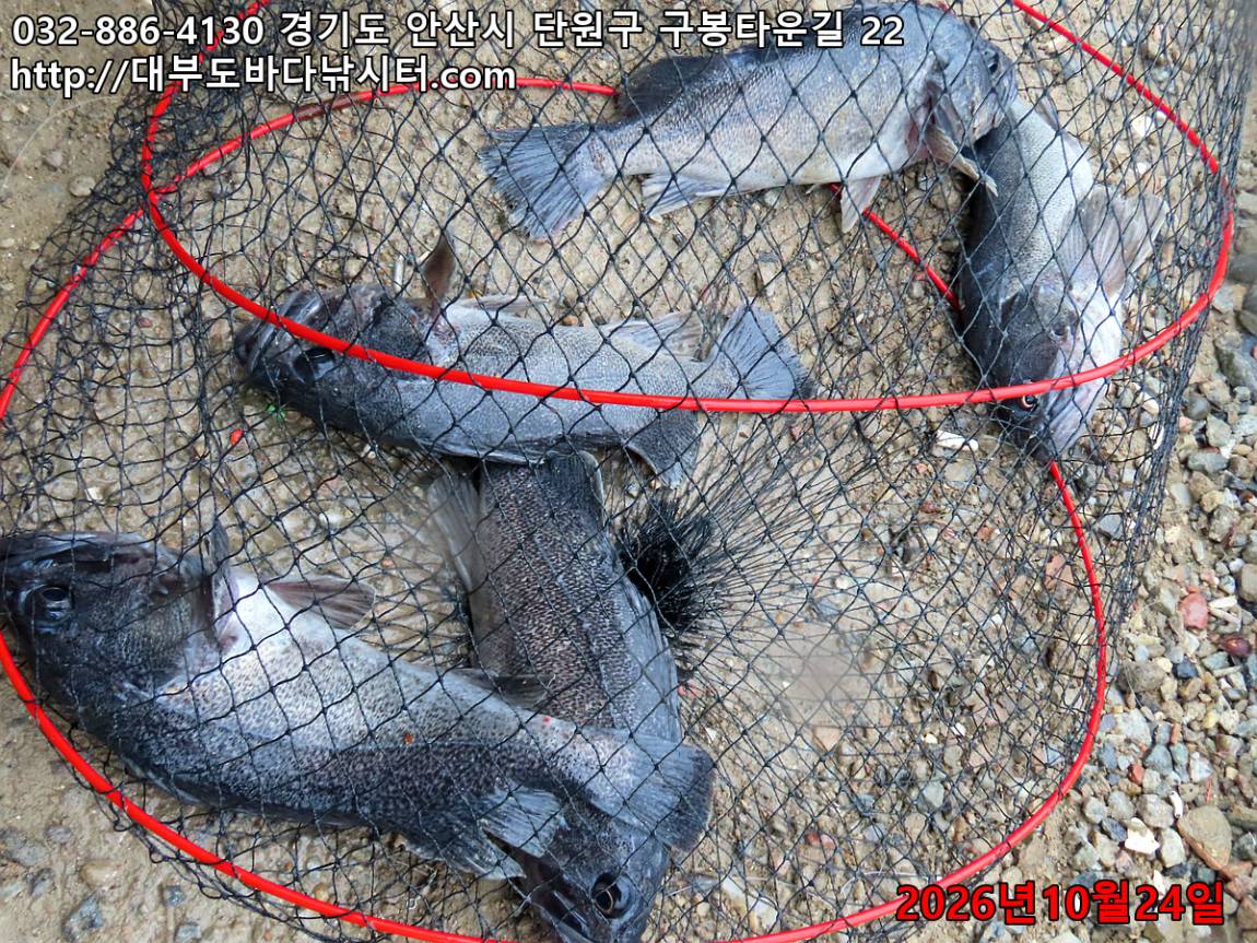 IMG_5167_faaf5be95f082dec_436b30334a775b7b.jpg