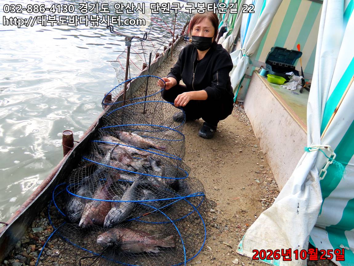 IMG_5202_bee3ad129e091cca_8463250cfdb325a9.jpg
