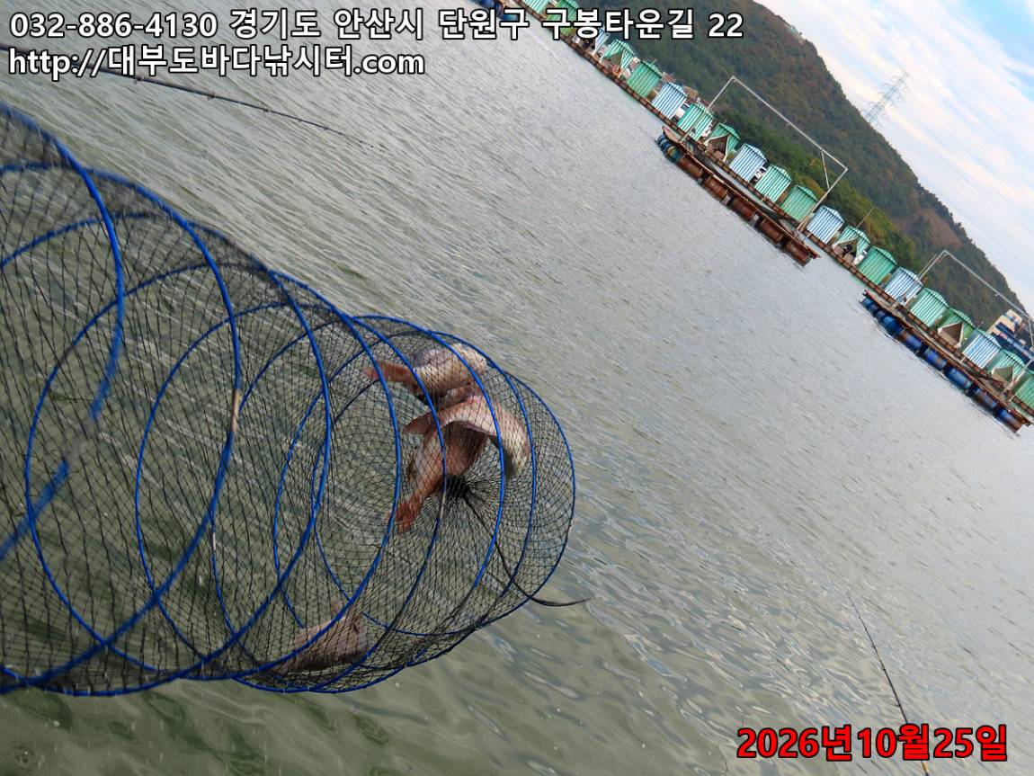 IMG_5210_d62c15533f1cc3d5_9bd8ae2e787f40cb.jpg