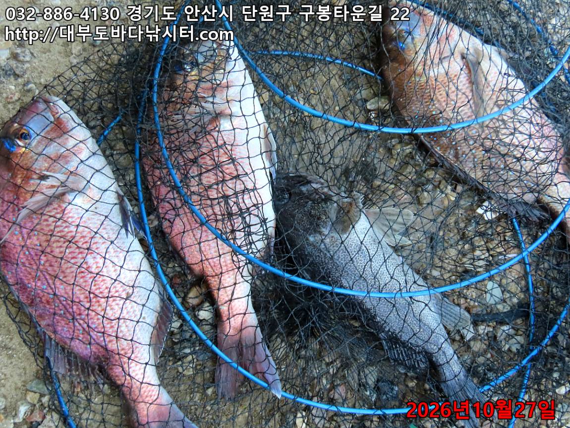 IMG_5314_5d7b81be5adfc63d_82d05e518bf9fc48.jpg
