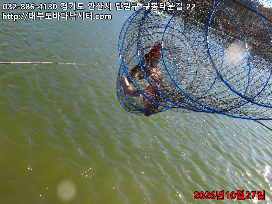 IMG_5319_8b15373215ba963f_2fc3a1cfb51c84d9.jpg