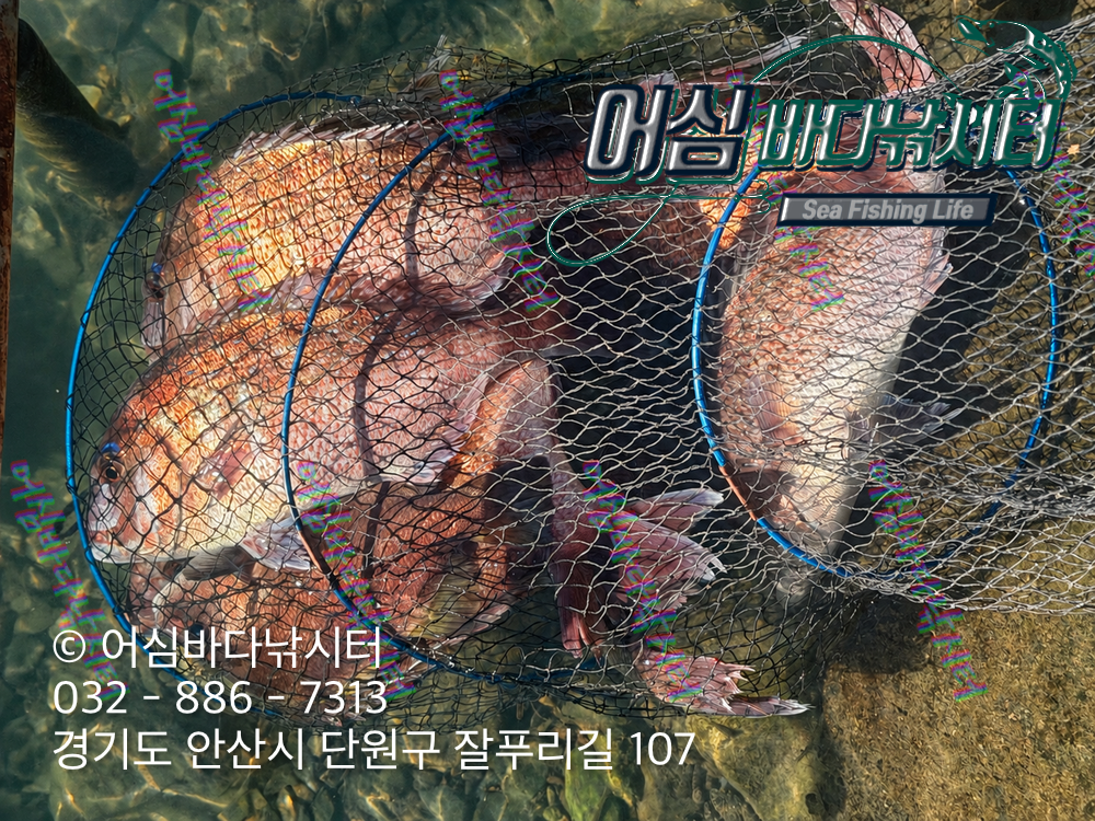 KakaoTalk_Photo_2026-10-28-15-38-22 003.png
