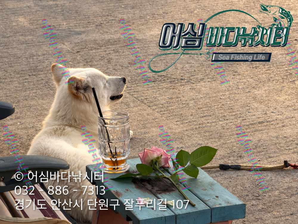 KakaoTalk_Photo_2026-10-28-15-38-21 002.png