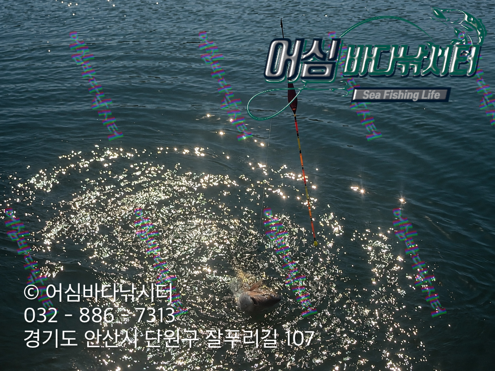 KakaoTalk_Photo_2026-10-28-15-38-21 001.png