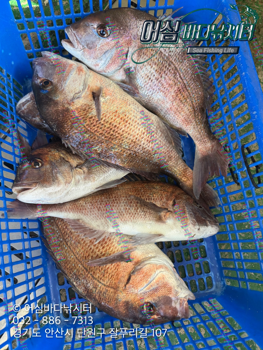 KakaoTalk_Photo_2026-10-28-15-37-22 015.jpeg