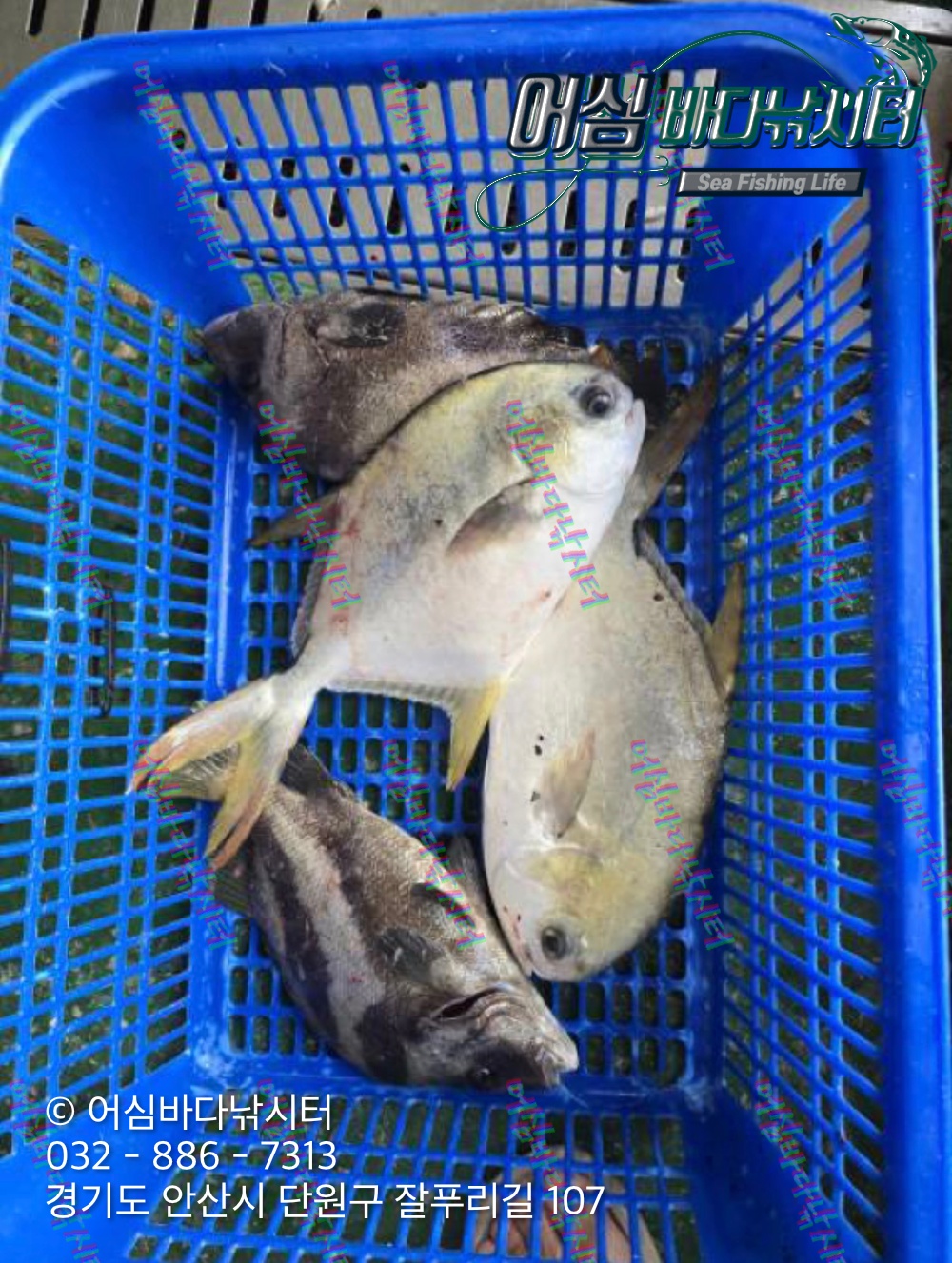 KakaoTalk_Photo_2026-10-28-15-39-19 002.jpeg