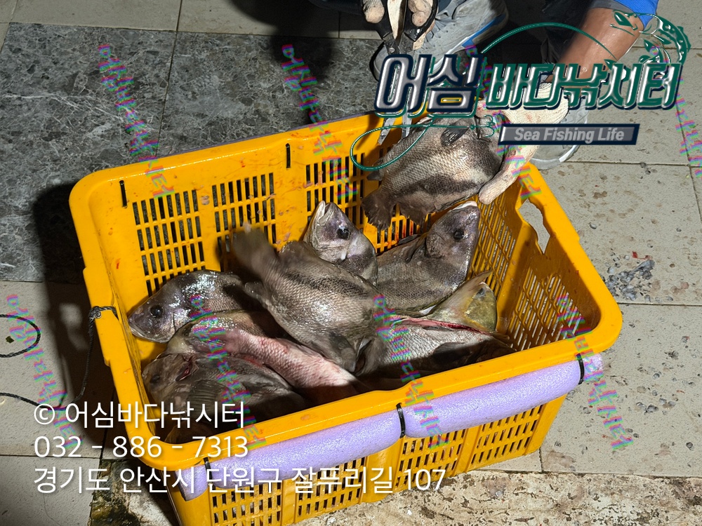 KakaoTalk_Photo_2026-10-28-15-39-00 001.jpeg