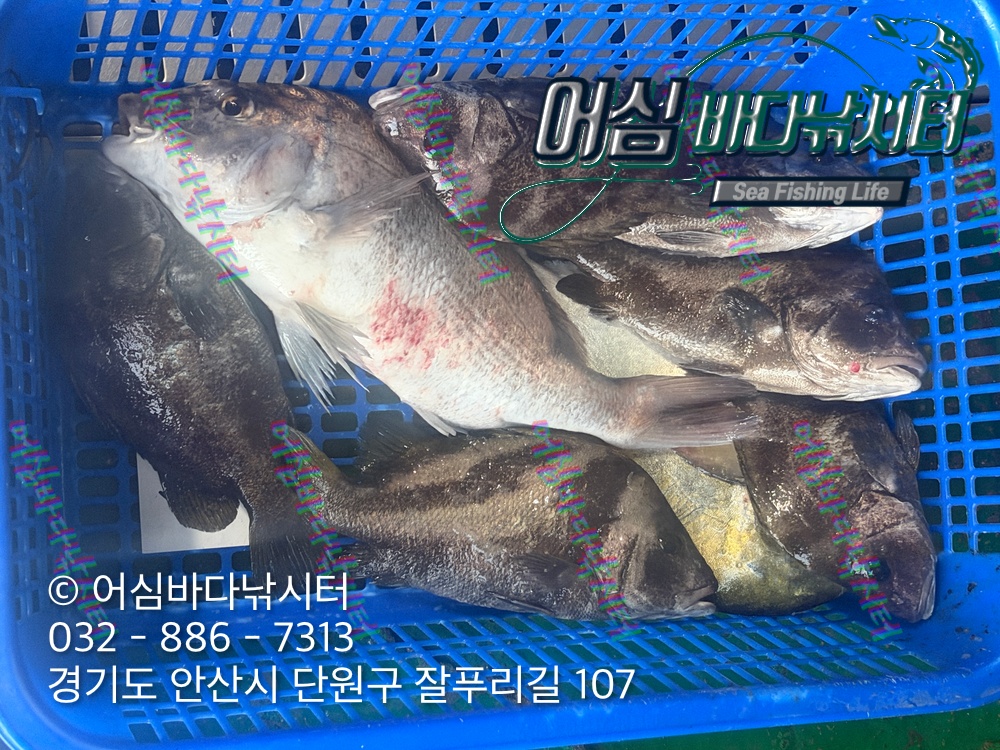 KakaoTalk_Photo_2026-10-28-15-37-10 001.jpeg