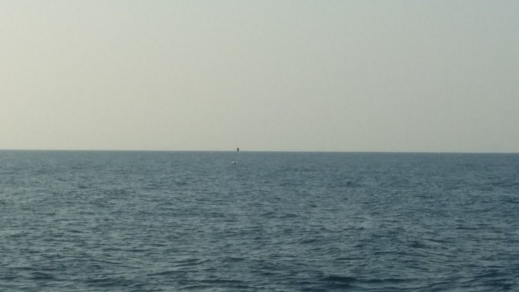 20160103_152024.jpg