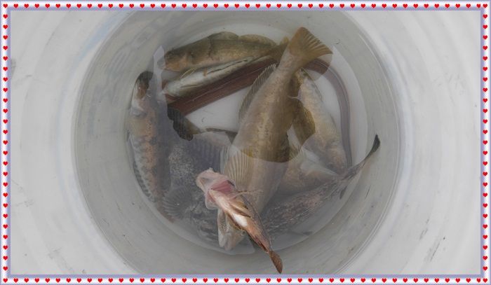 20160425113725_1346873448.jpg