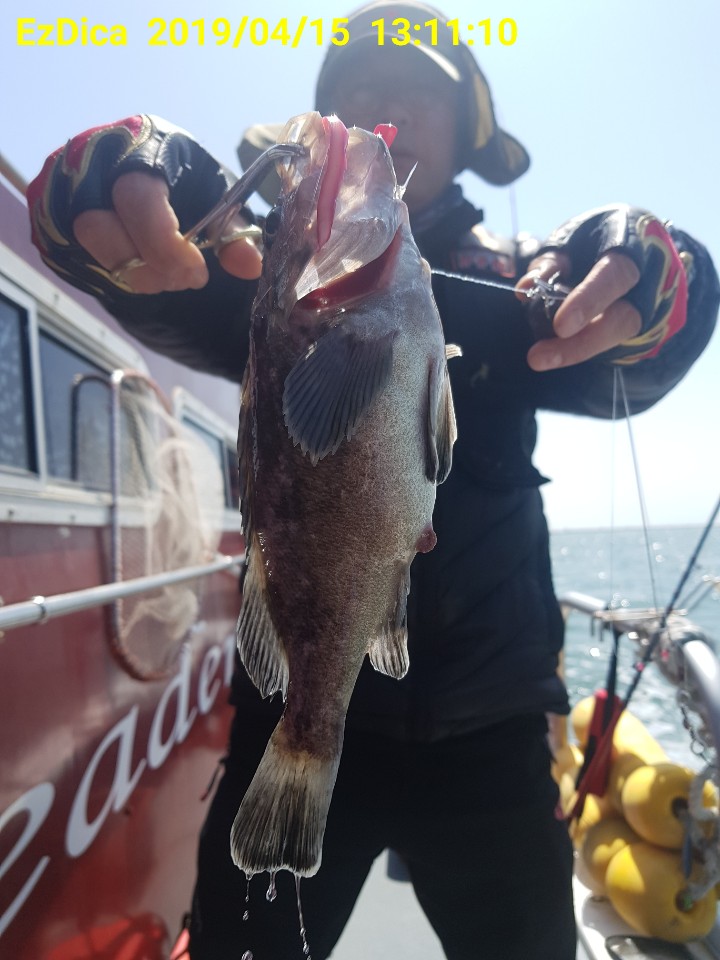 KakaoTalk_20190415_144723314.jpg
