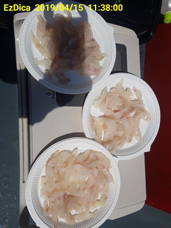 KakaoTalk_20190415_144725522.jpg