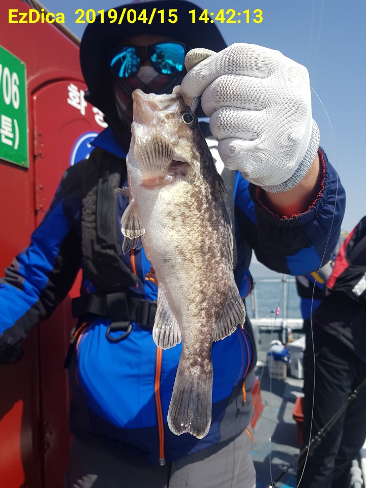 KakaoTalk_20190415_144721768.jpg