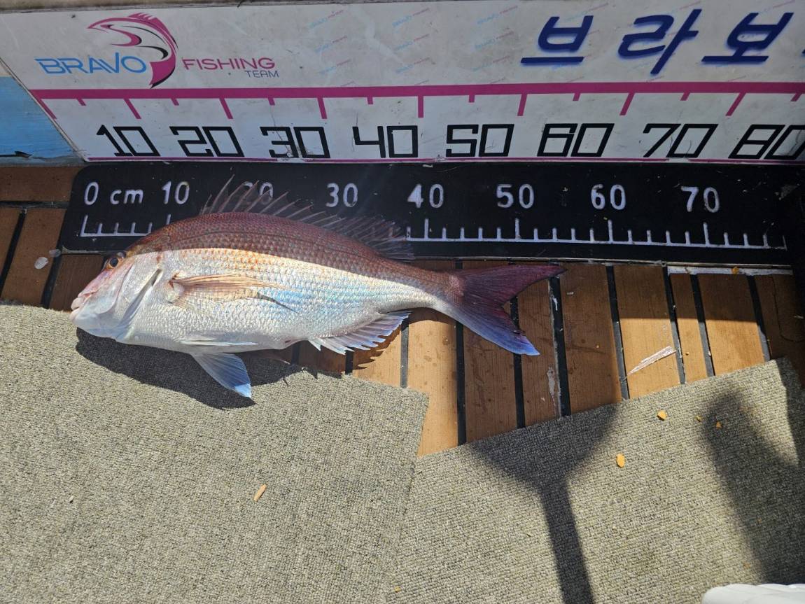 KakaoTalk_20240731_174606444_08.jpg
