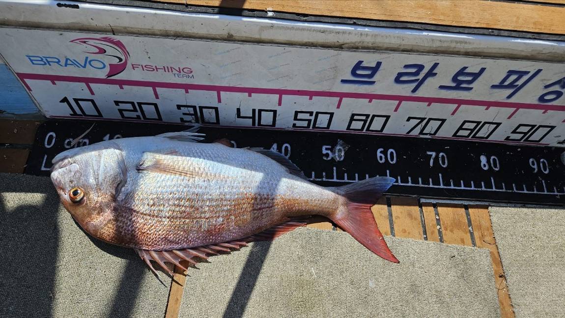 KakaoTalk_20240831_204344912_02.jpg