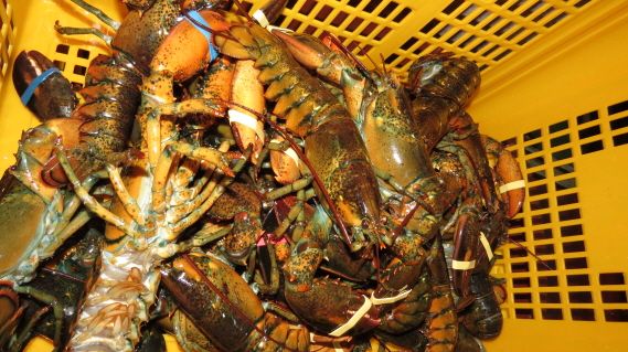 dbٴٳ(2016.2.7) 042.jpg