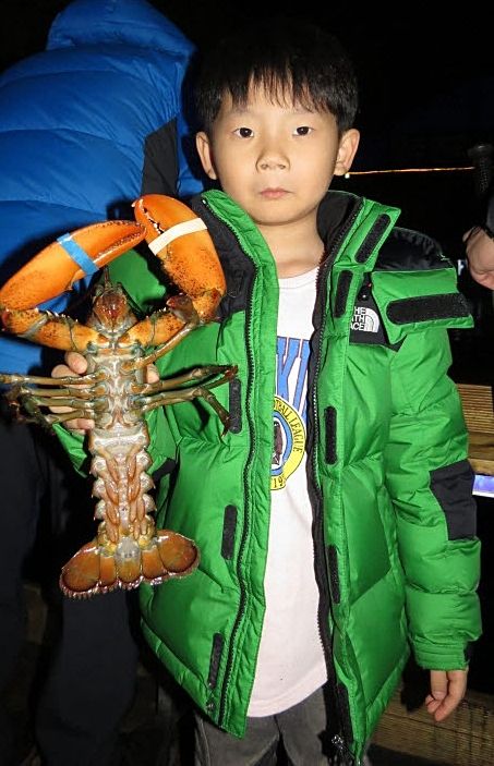 dbٴٳ(2016.2.7) 060.jpg