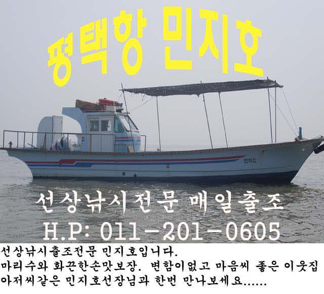 평택본전낚시마트 > 평택항 민지호 금요일 조황..... : 낚시사랑