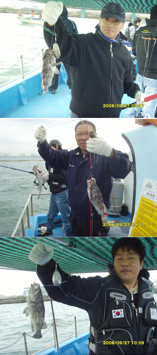 평택본전낚시마트 > 9월27일 평택항 대명호 .민지호 조황..... : 낚시사랑