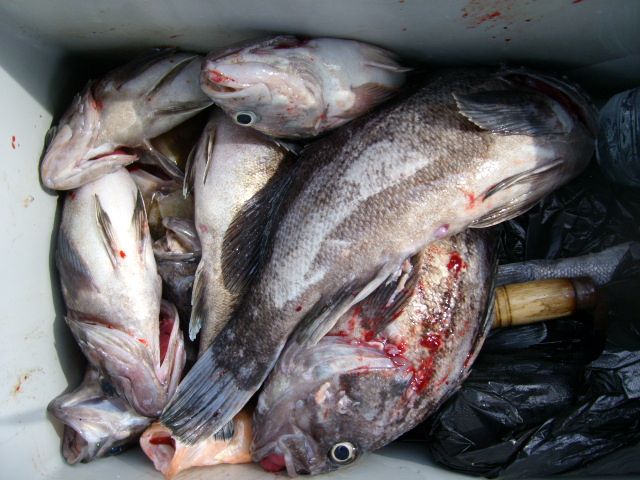STP65022.JPG