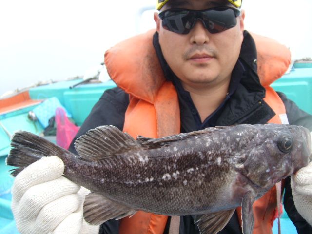 STP65078.JPG