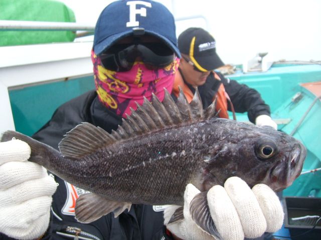 STP65077.JPG