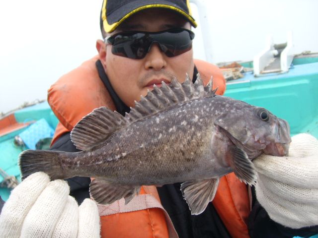 STP65084.JPG