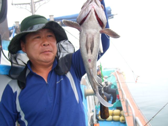 STP65089.JPG