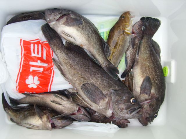 STP65095.JPG