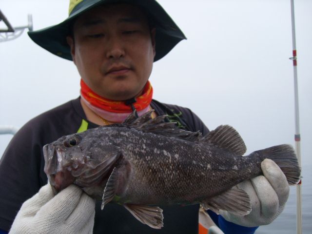 STP65158.JPG