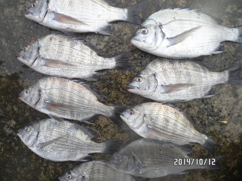 010.JPG