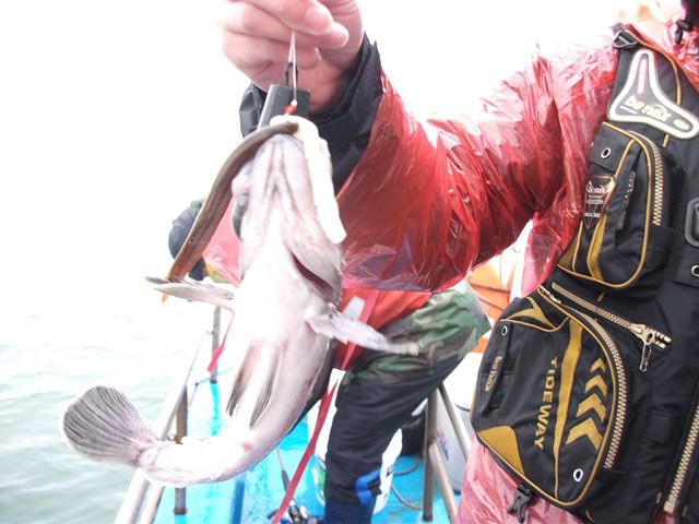 DSCF1246.JPG