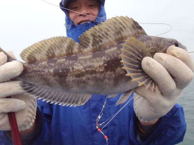 PB301264.JPG