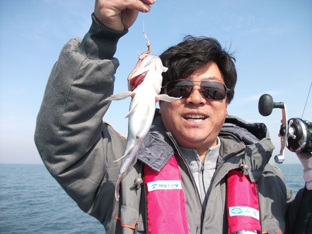 1427541805_7.jpg