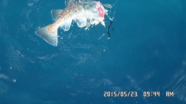 1432364193861.jpg