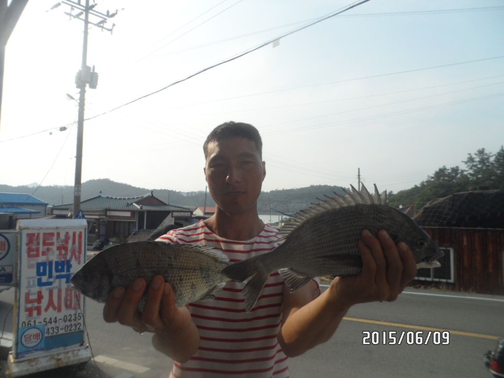 SAM_0133.JPG