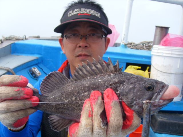 STP66104.JPG