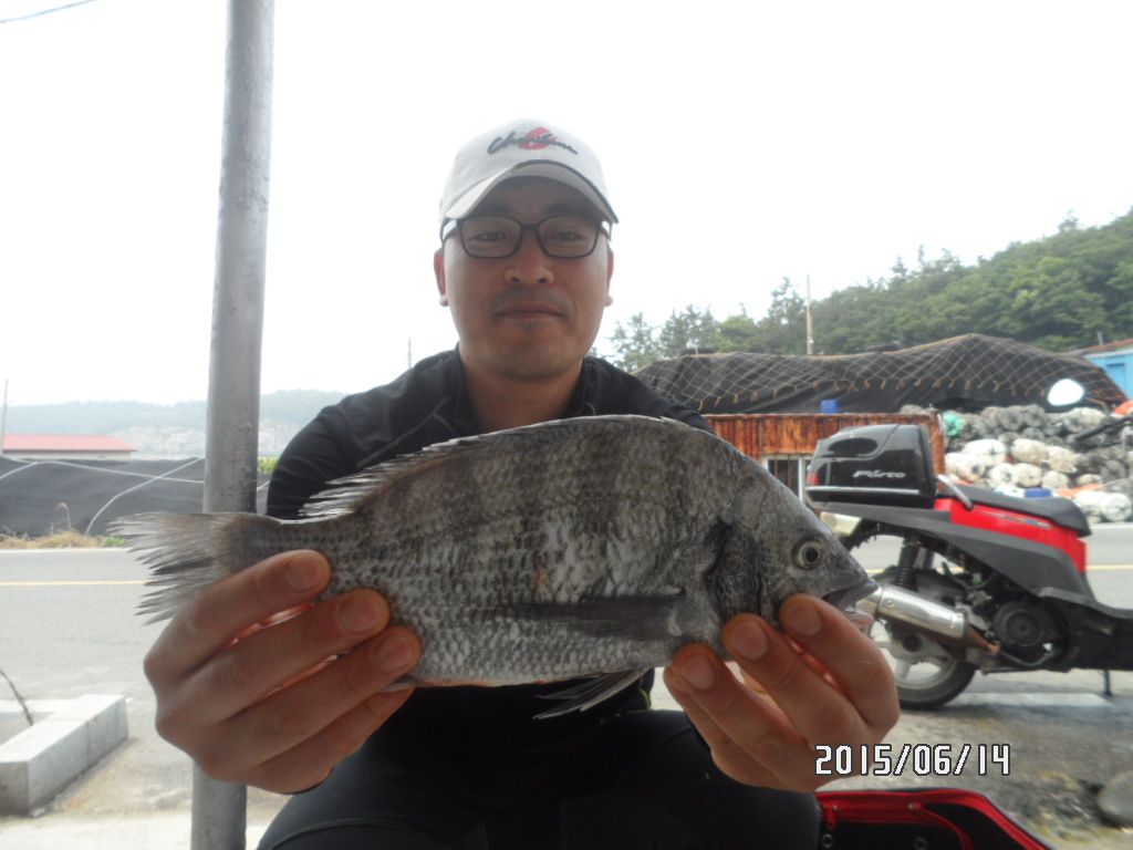 SAM_0139.JPG