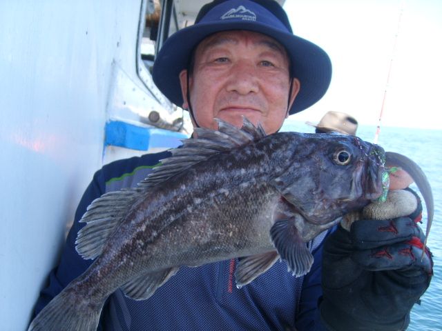 STP66167.JPG