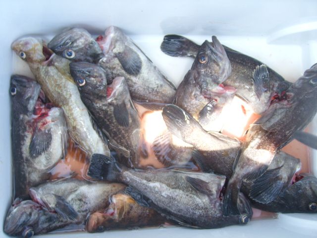STP66194.JPG