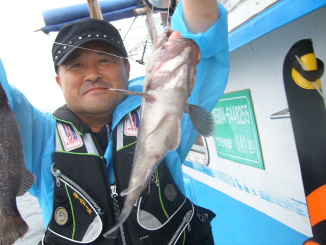 STP66227.JPG